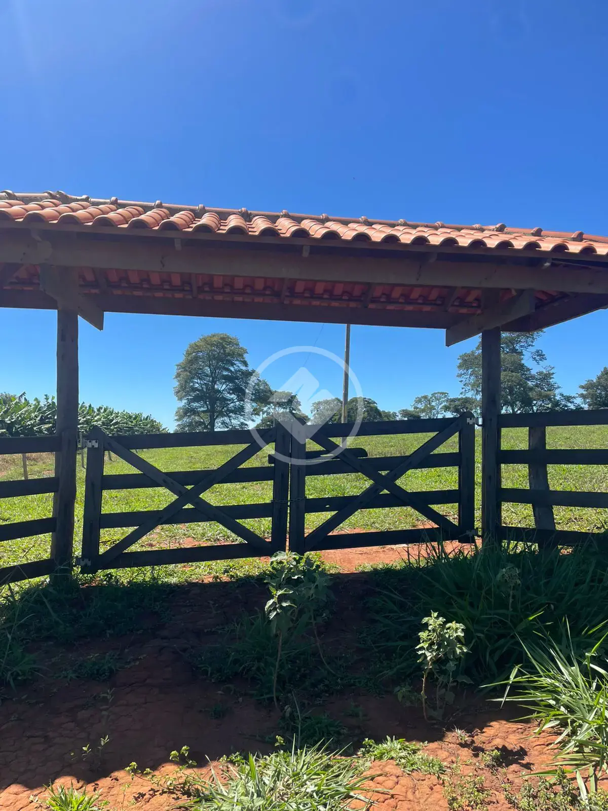 Chácara Setor Central, Ouro Verde de Goiás - GO — foto 2