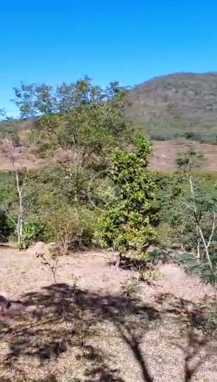 Fazenda no Centro, Pirenópolis — foto 6 de 6