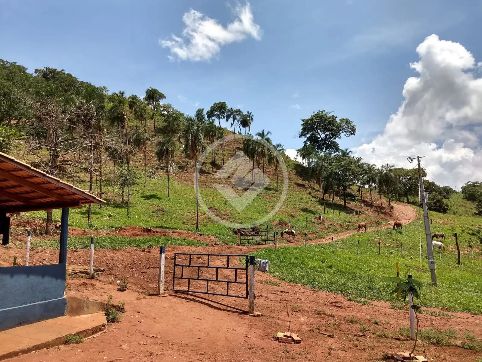 Fazenda no Setor Central, Faina — foto 3 de 6