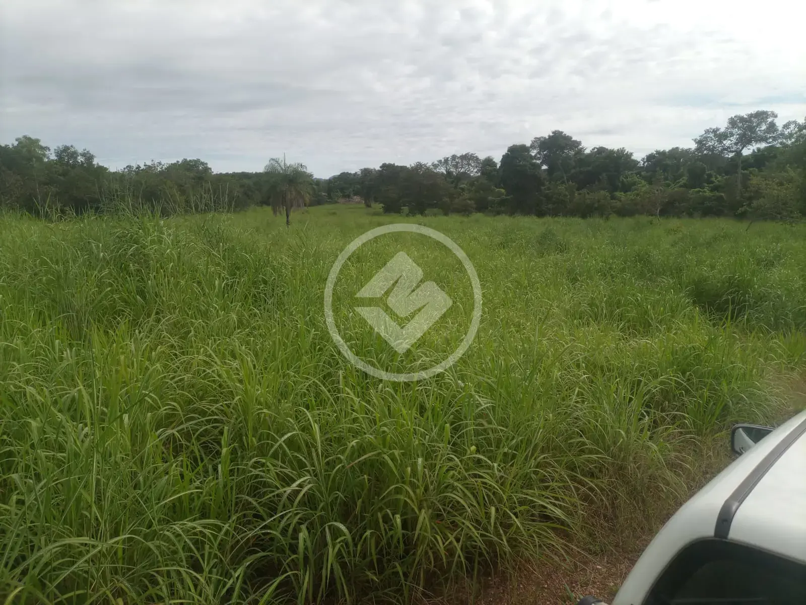 Fazenda Natividade, Natividade - TO — foto 1