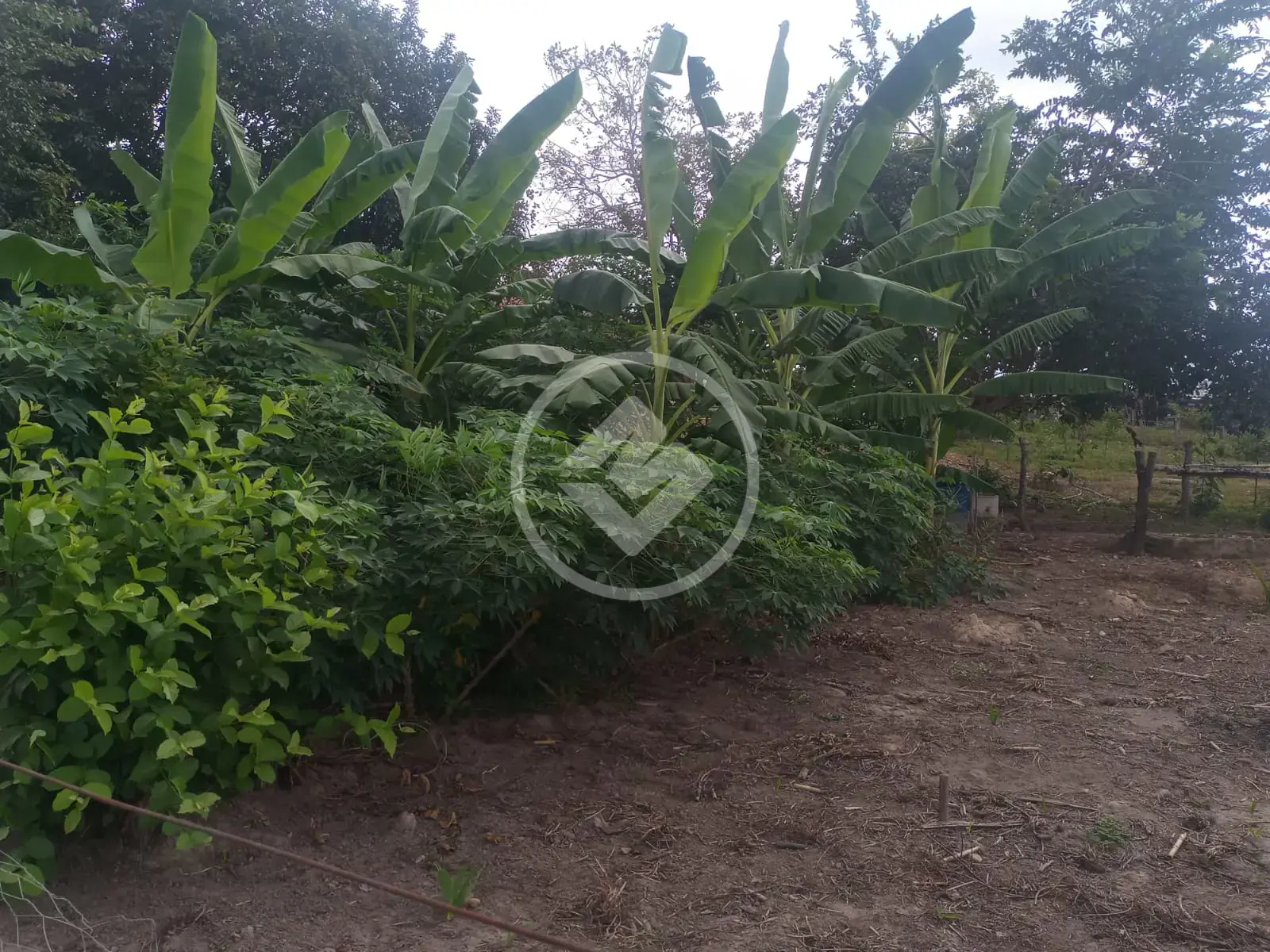Fazenda Natividade, Natividade - TO — foto 2