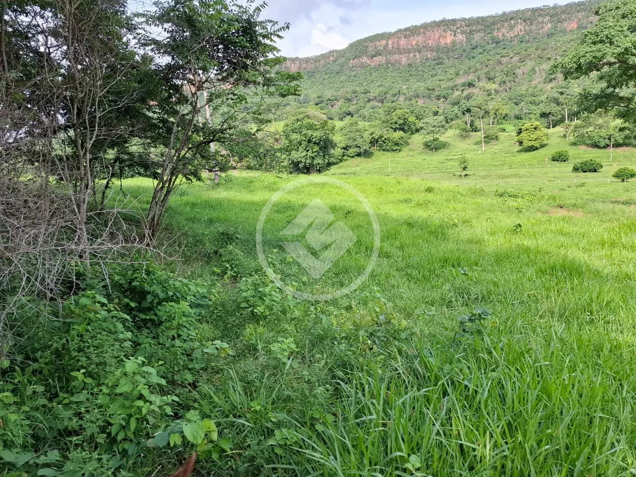 Fazenda ZONA RURAL, Cáceres - MT — foto 2