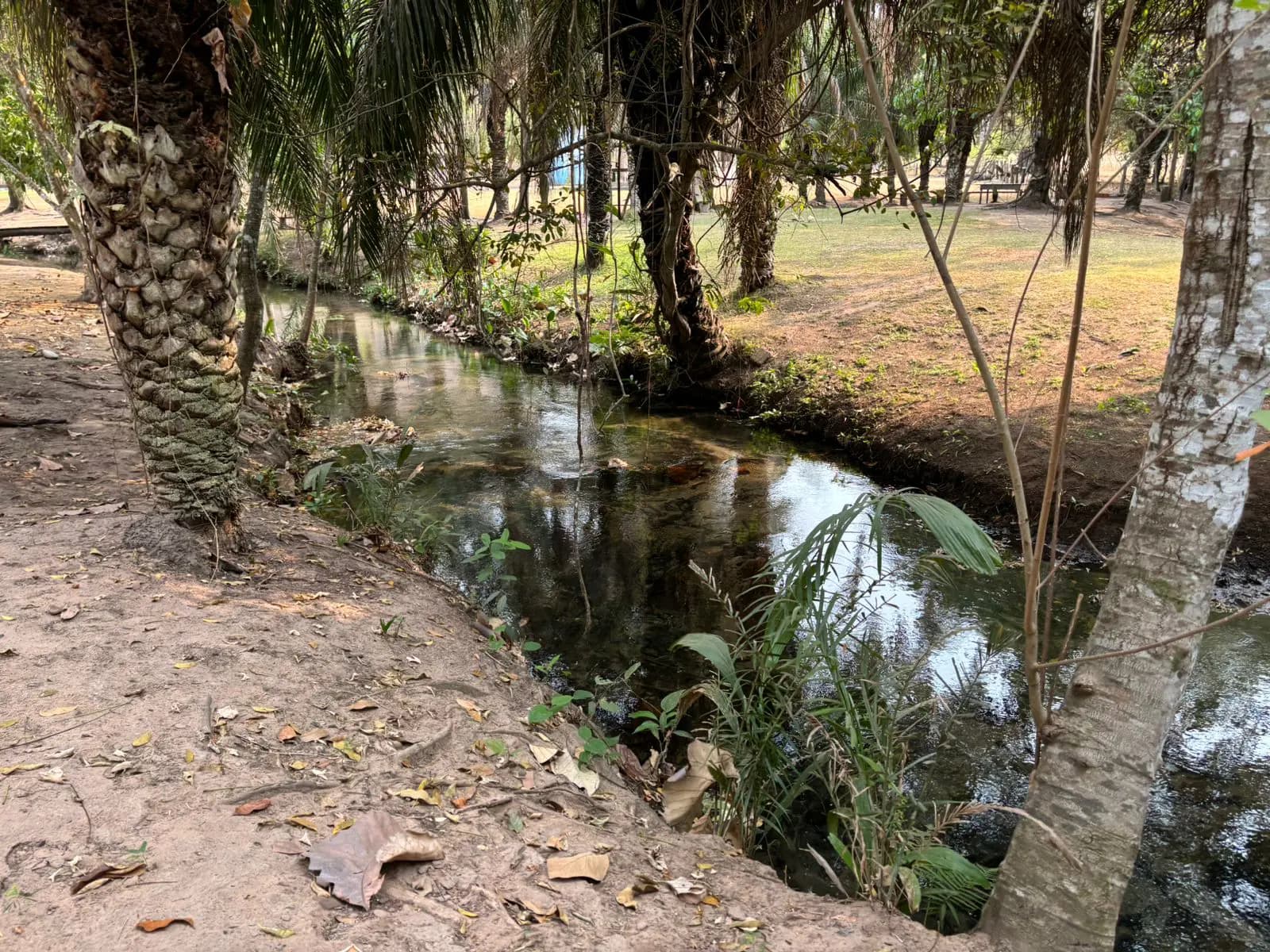 Sítio no Centro, Cáceres — foto 6 de 6