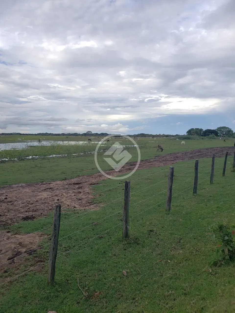 Fazenda ZONA RURAL, Cáceres - MT — foto 2