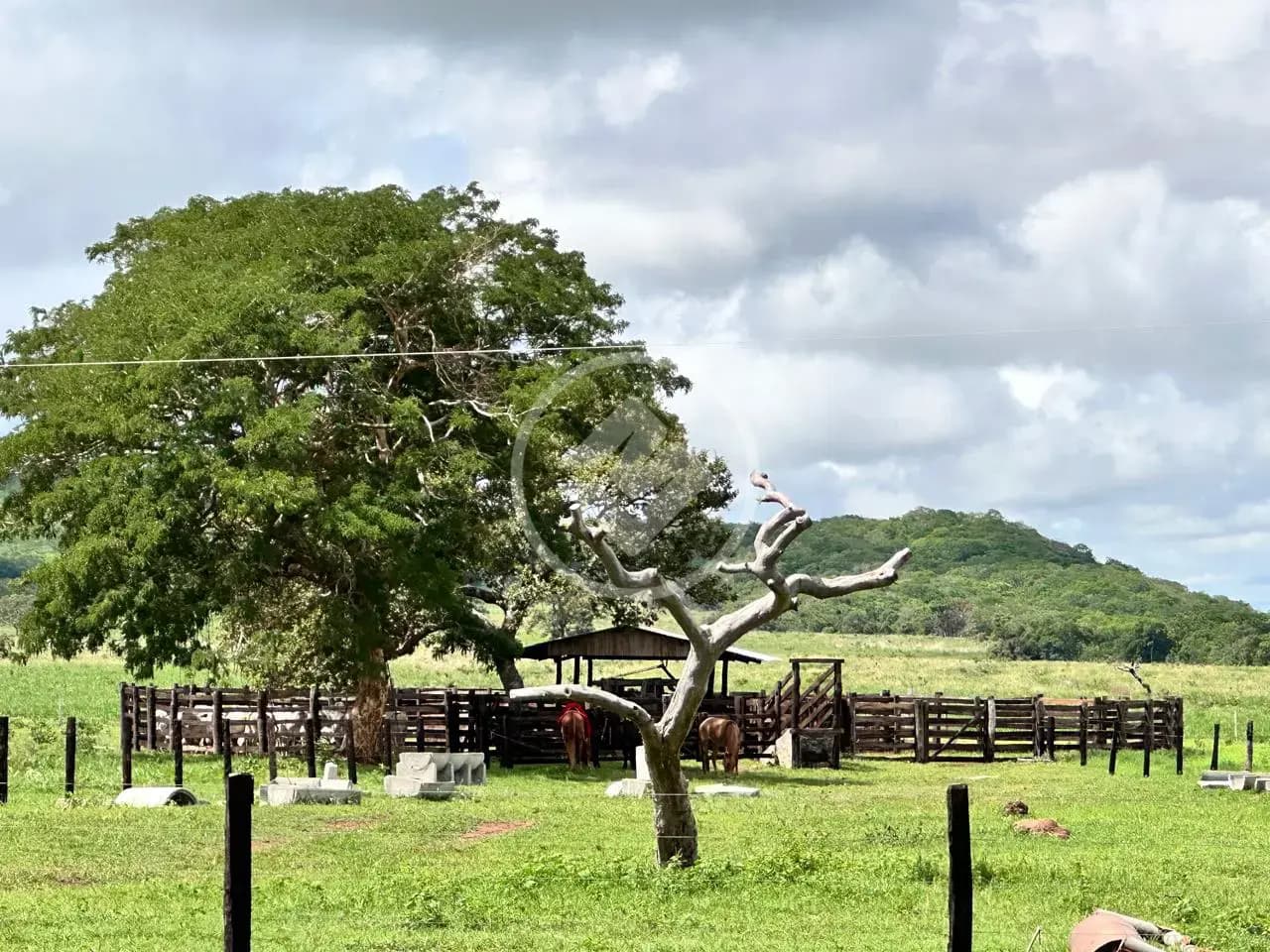 Fazenda Olhos D Agua, Cáceres - MT — foto 2