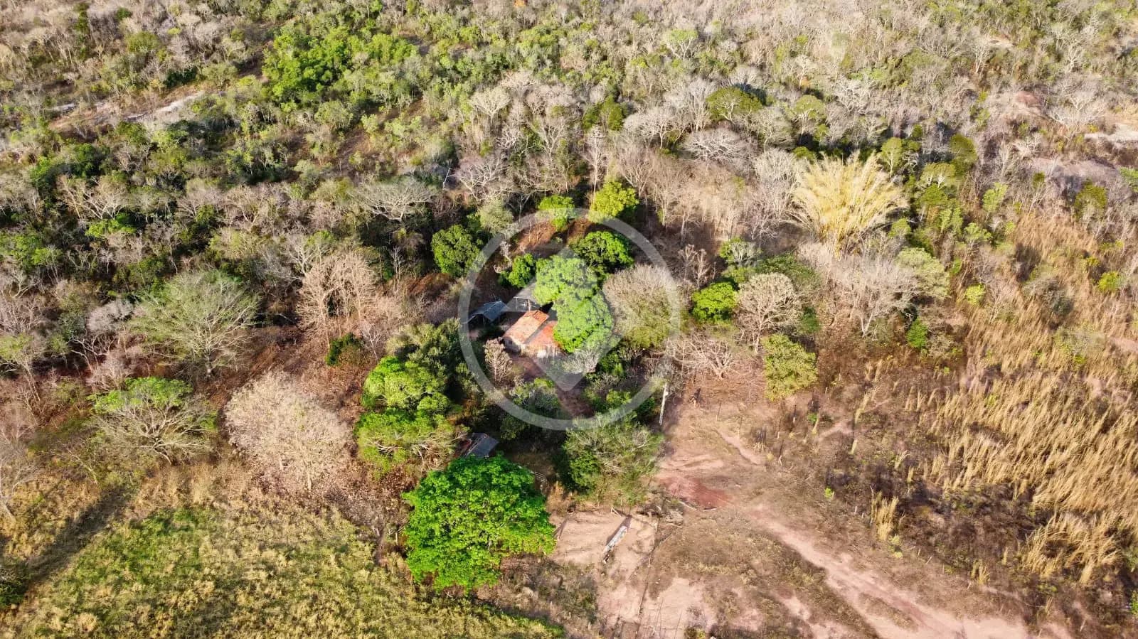 Fazenda Santa Cruz, Cáceres - MT — foto 1