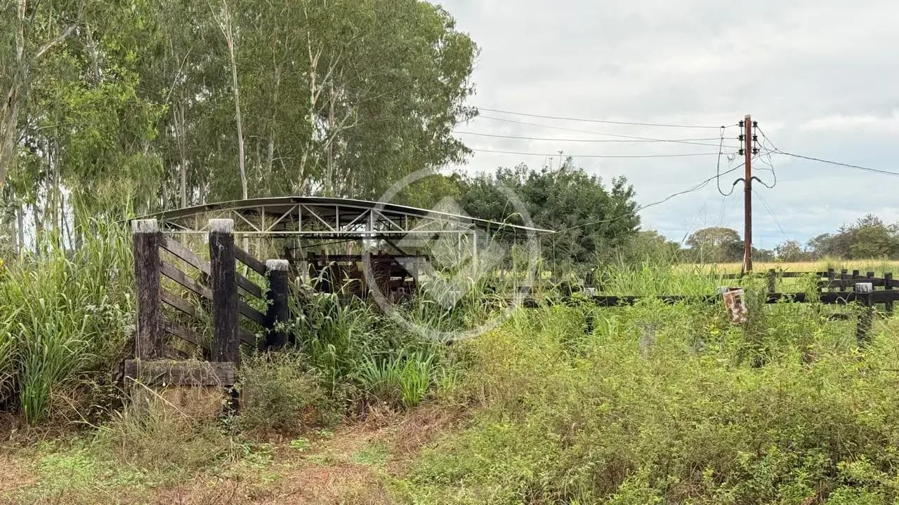 Sítio ZONA RURAL, Cáceres - MT — foto 2