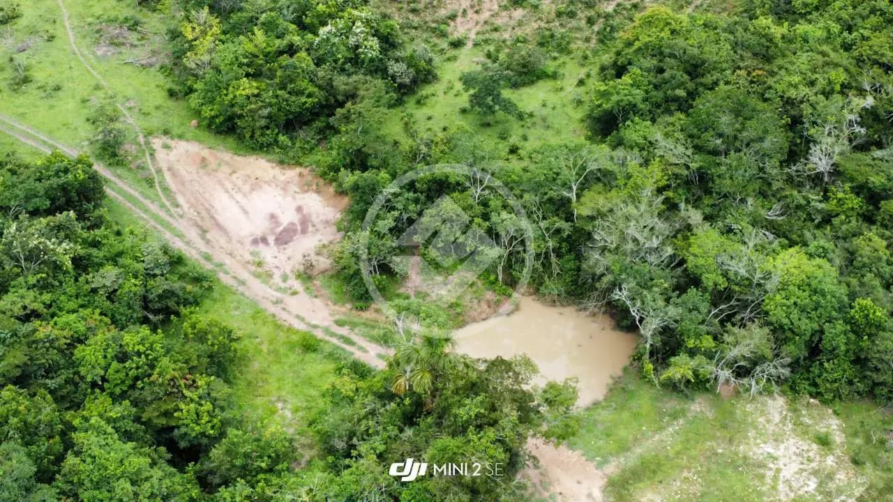 Fazenda Centro, Silvânia - GO — foto 2