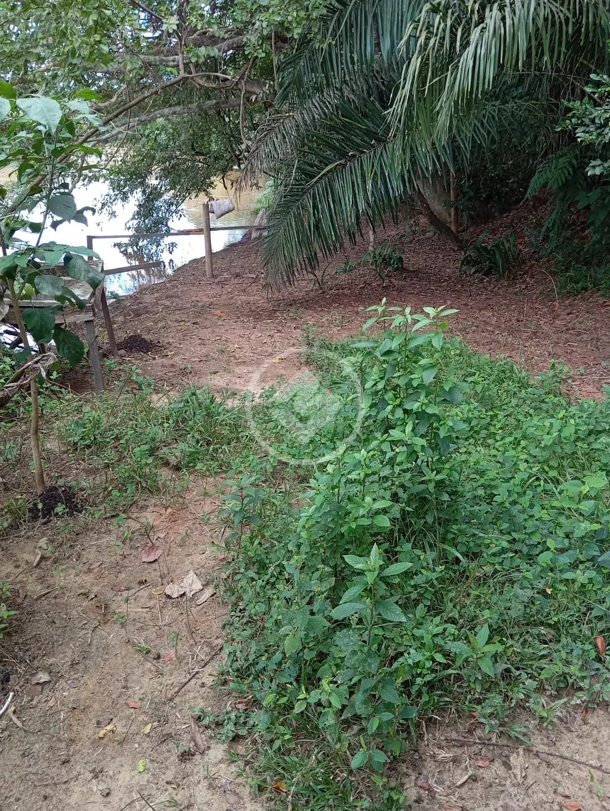 Chácara no Zona Rural, Hidrolândia — foto 5 de 6