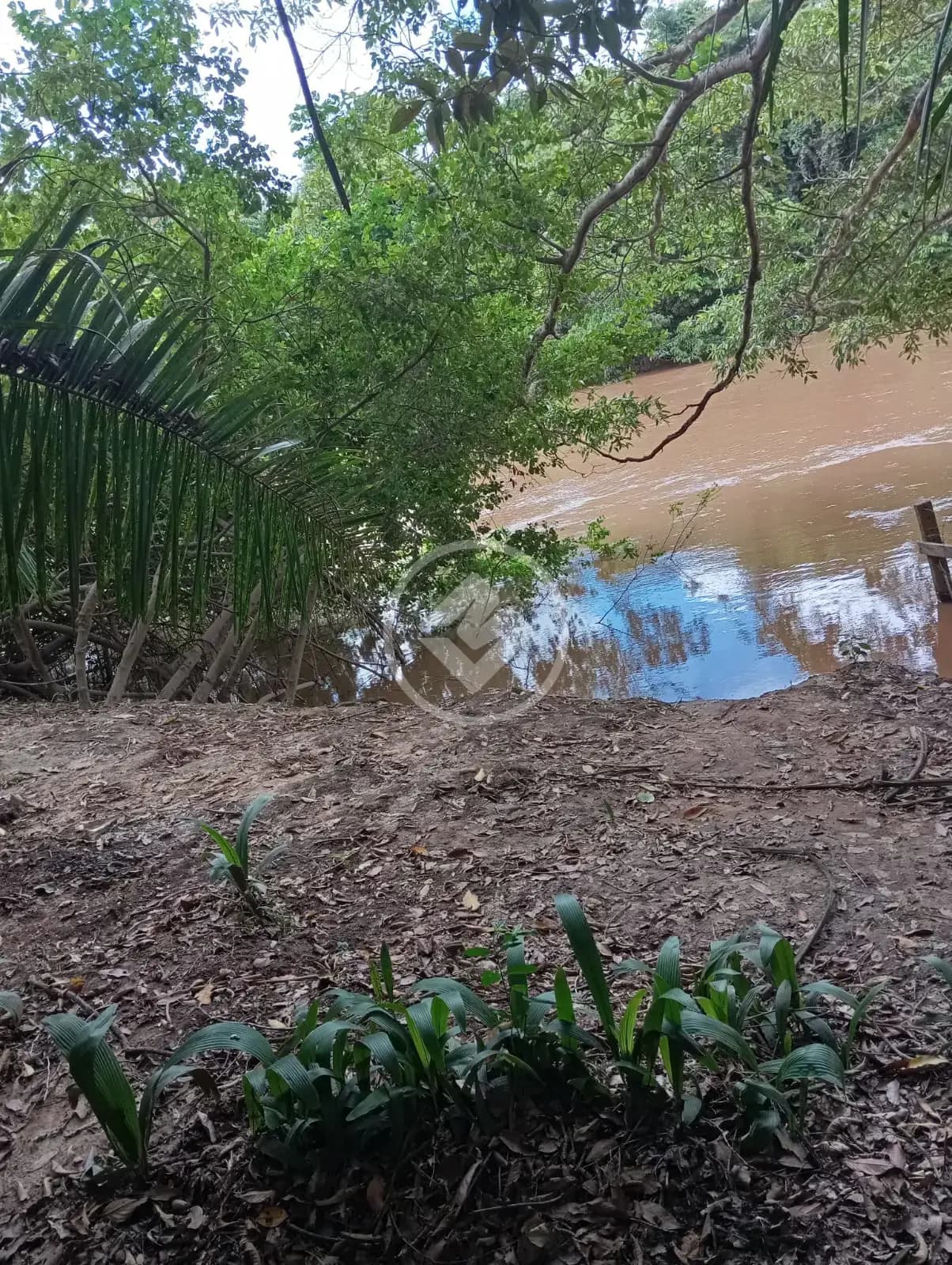 Chácara no Zona Rural, Hidrolândia — foto 3 de 6