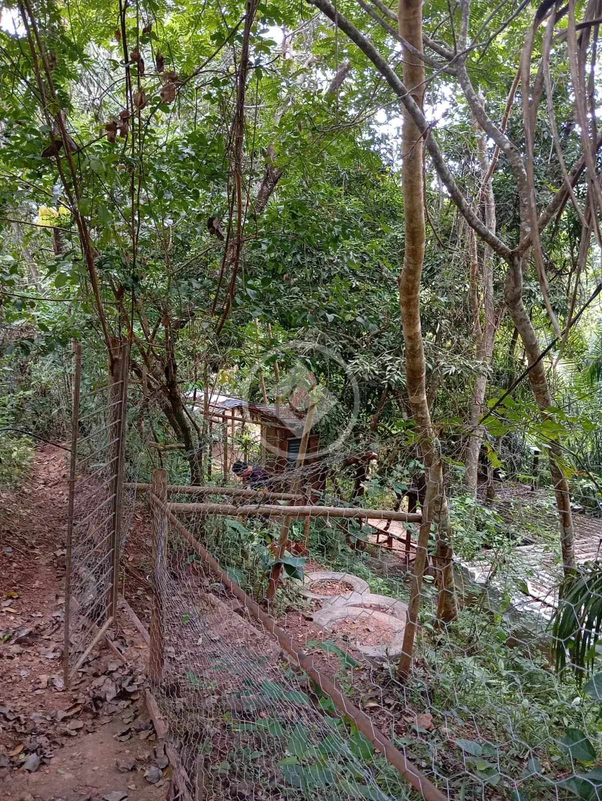 Chácara no Zona Rural, Hidrolândia — foto 4 de 6