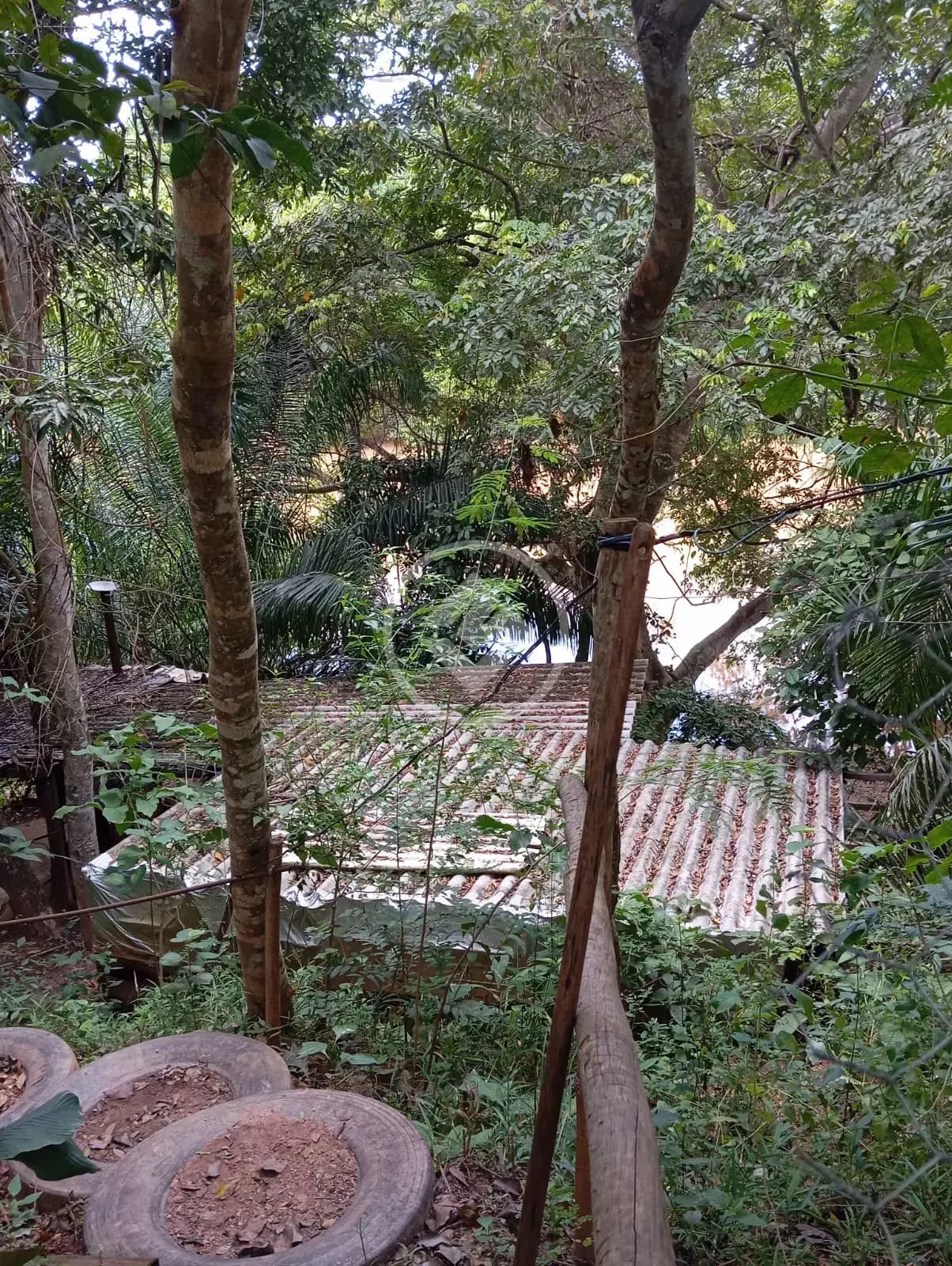 Chácara no Zona Rural, Hidrolândia — foto 6 de 6
