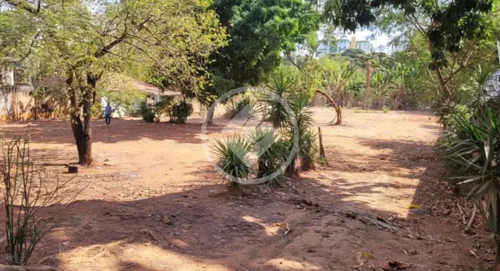 Terreno Vila Mauá, Goiânia - GO — foto 2