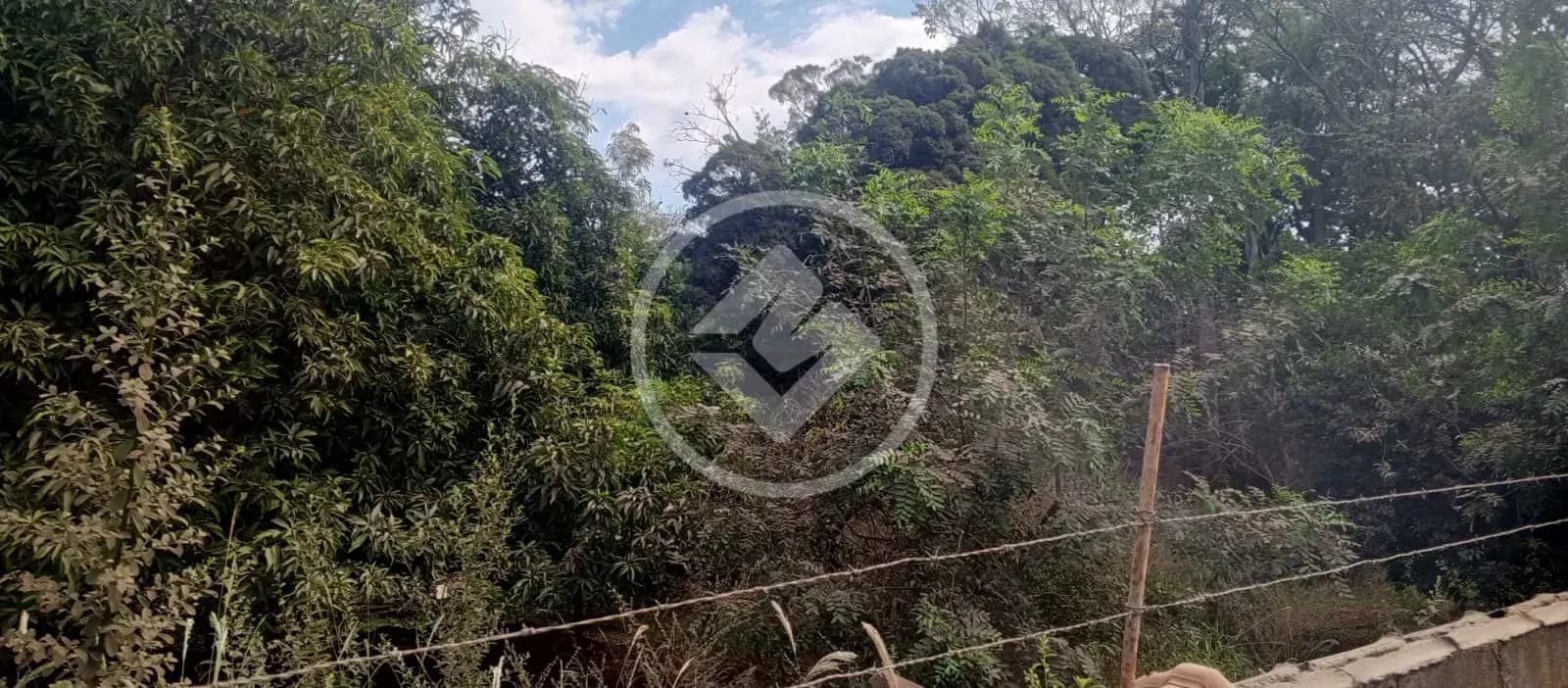 Terreno no Recanto das Palmeiras, Ribeirão Preto — foto 4 de 6