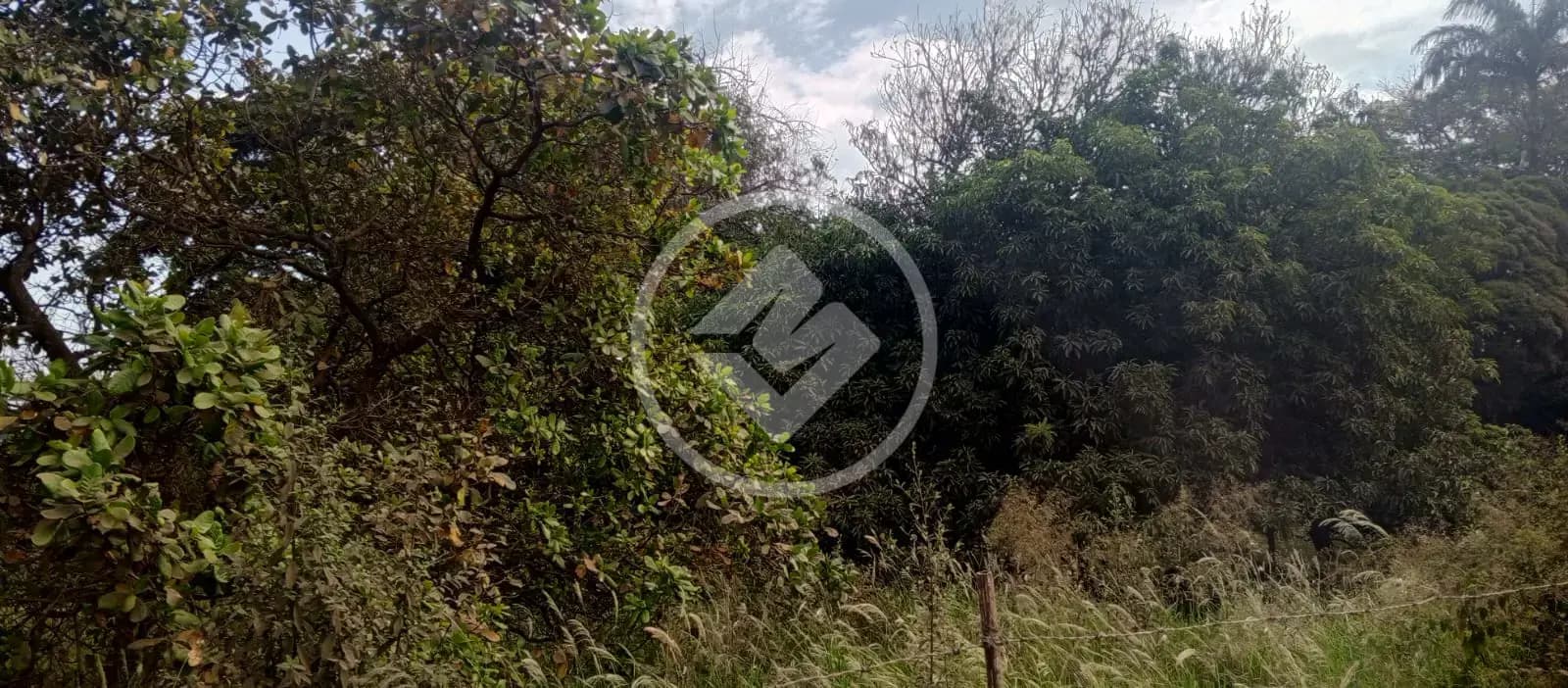 Terreno no Recanto das Palmeiras, Ribeirão Preto — foto 5 de 6