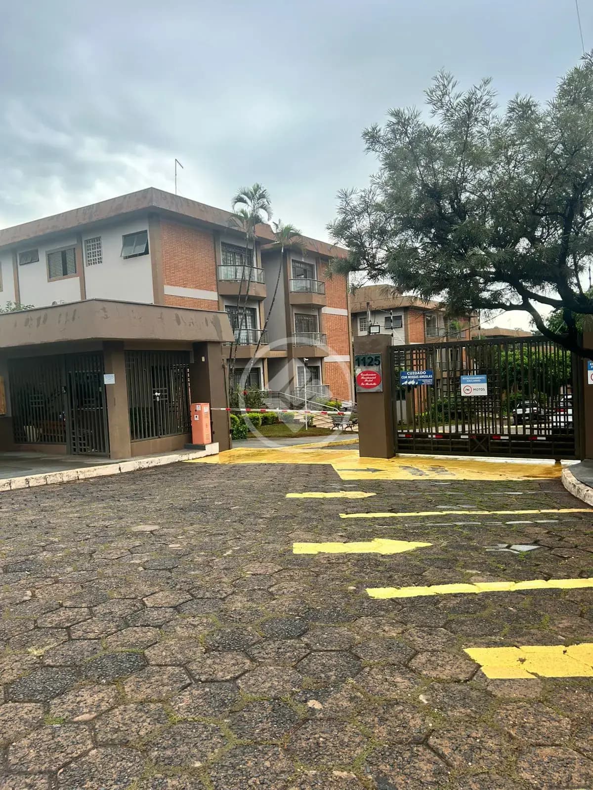 Apartamento Jardim Paulistano, Ribeirão Preto - SP — foto 1