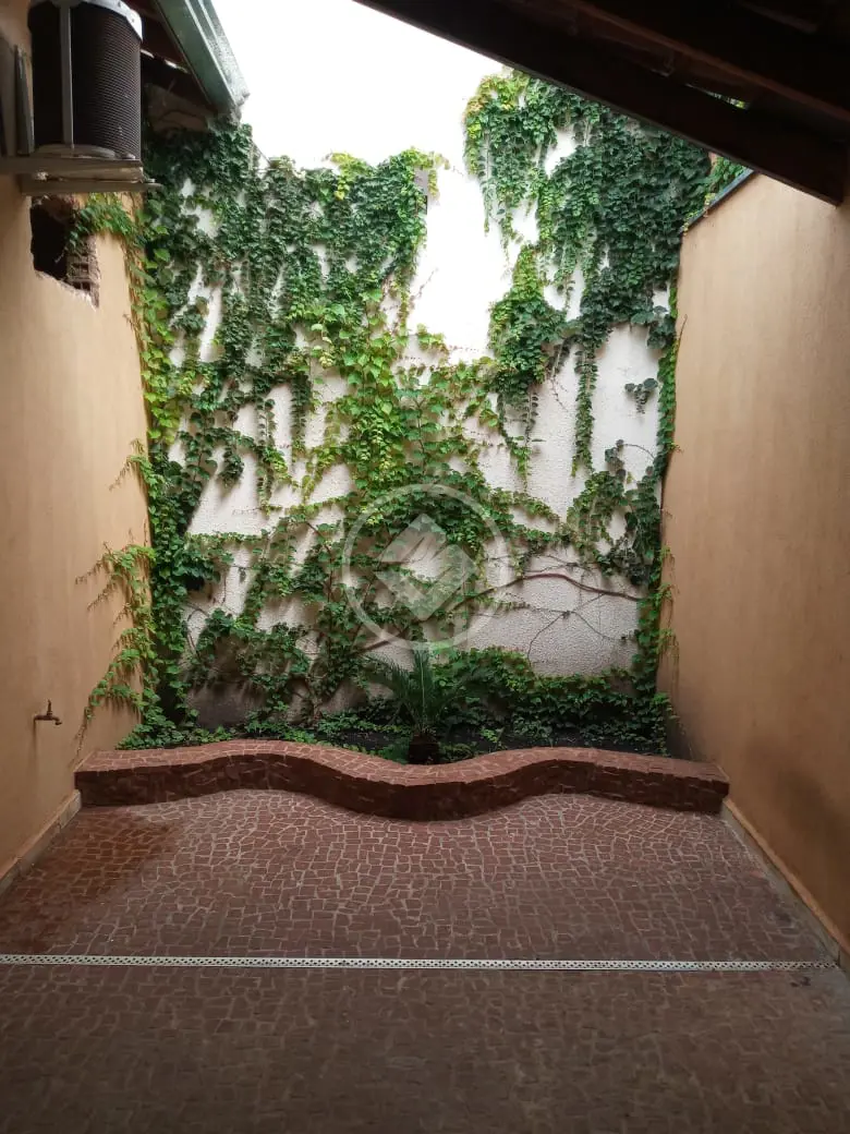 Casa 1 quarto no Vila Albertina, Ribeirão Preto — foto 3 de 6