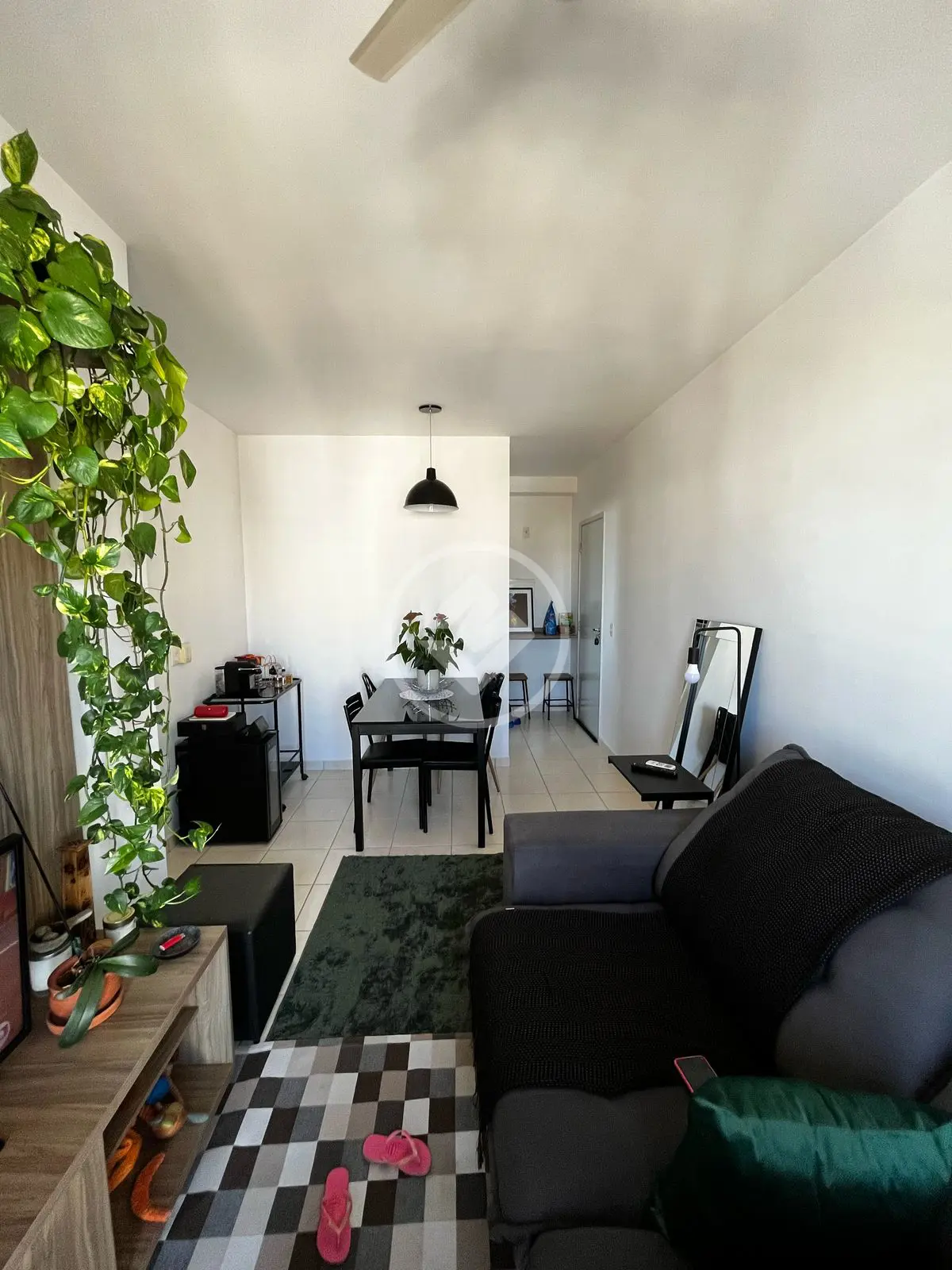 Apartamento Nova Aliança, Ribeirão Preto - SP — foto 2