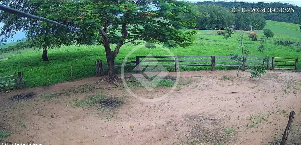 Fazenda Centro, Serranópolis - GO — foto 1