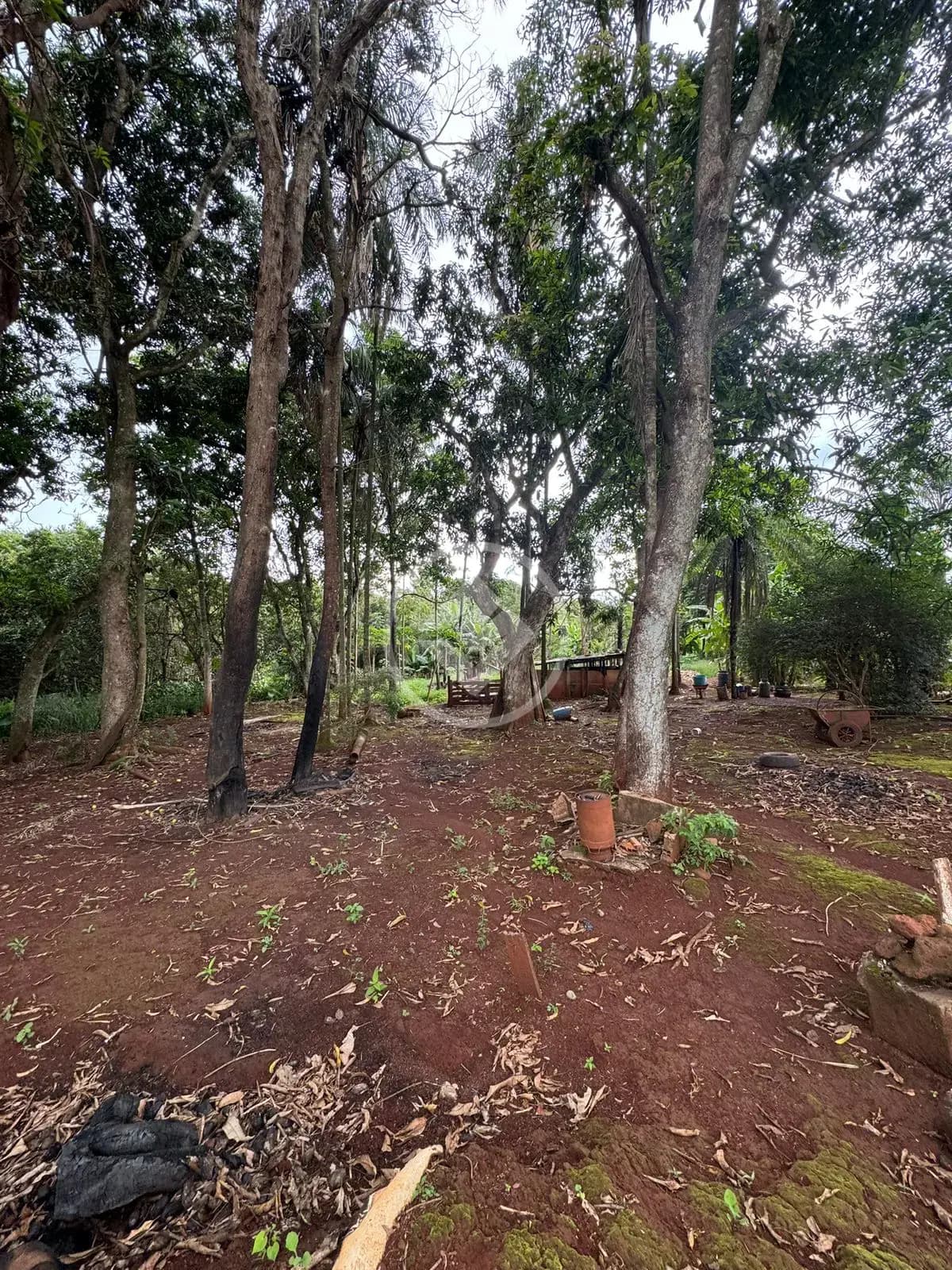 Chácara Bairro São Tomaz das Abóboras, Rio Verde - GO — foto 1