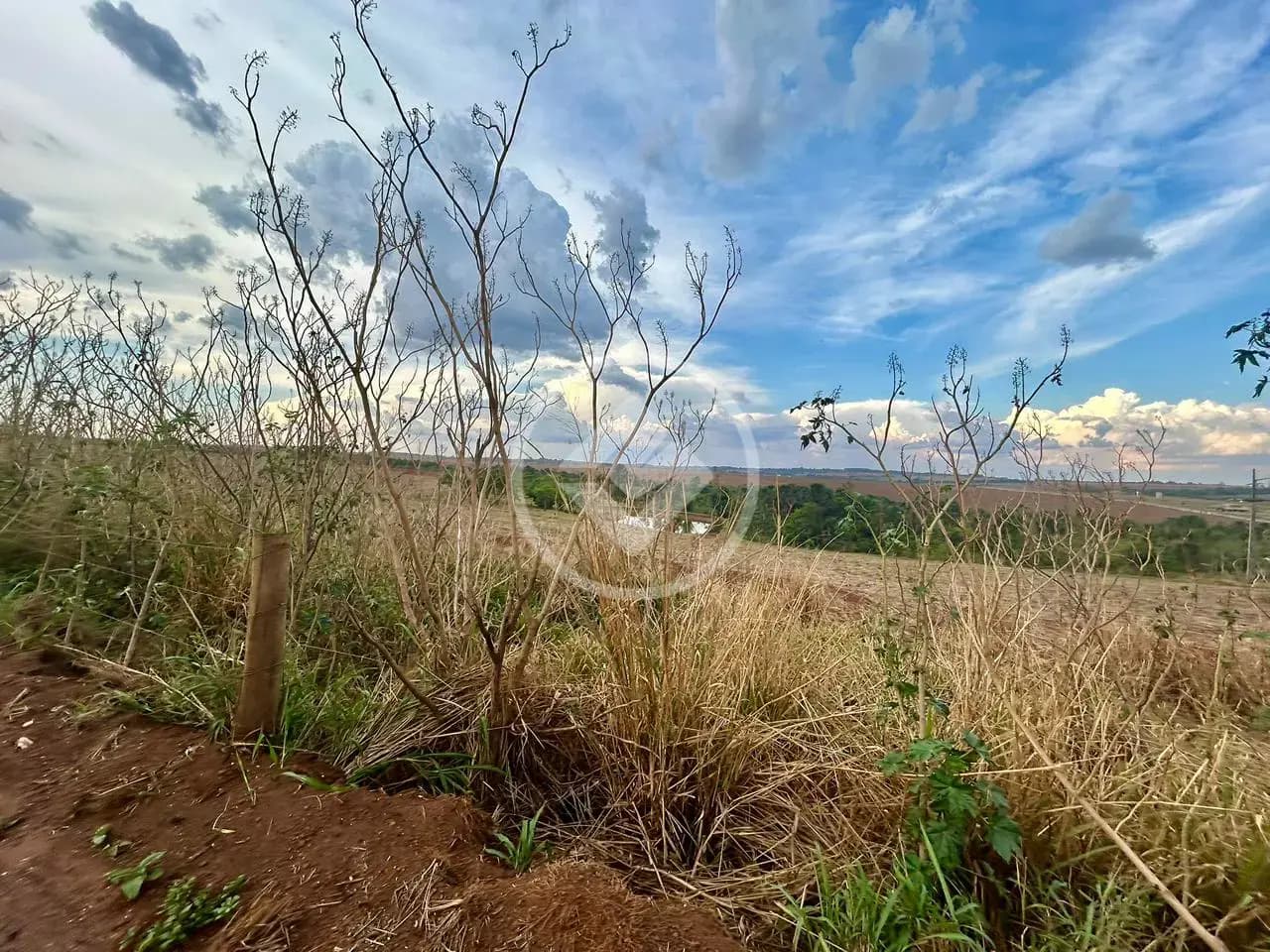 Terreno Loteamento Fazenda São Tomaz, Rio Verde - GO — foto 2