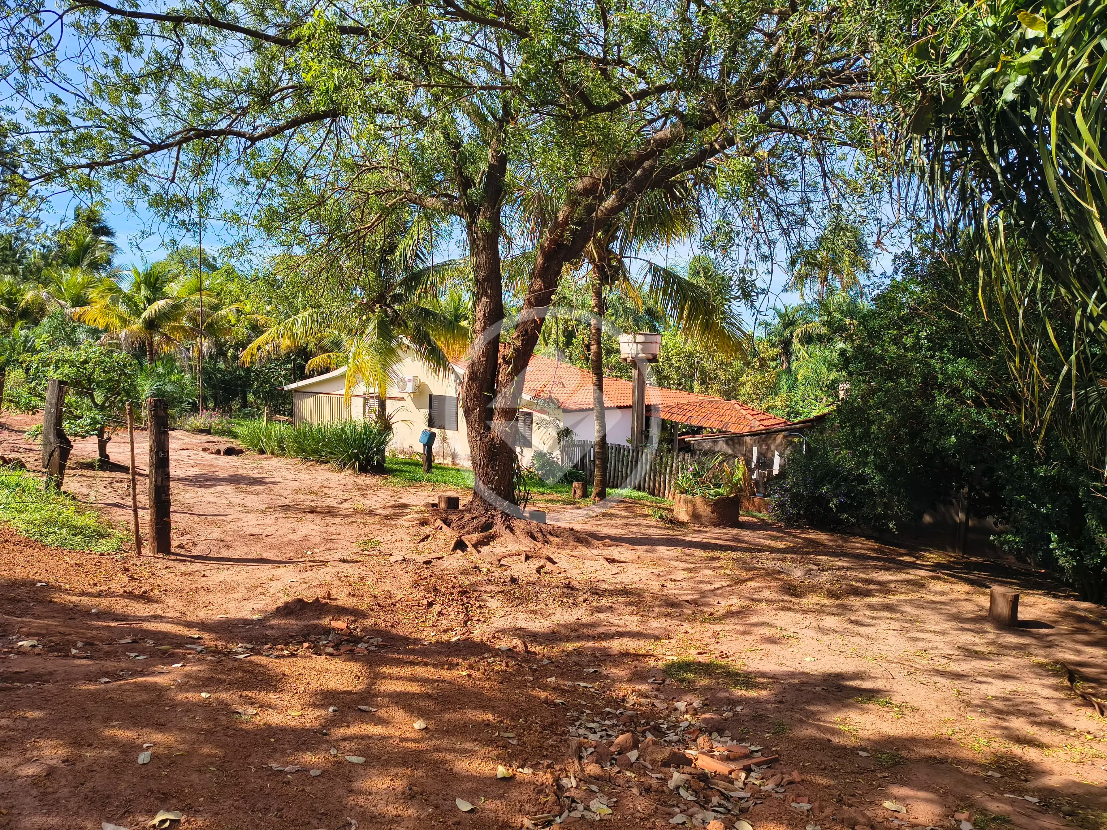 Fazenda ., Rio Verde - GO — foto 2