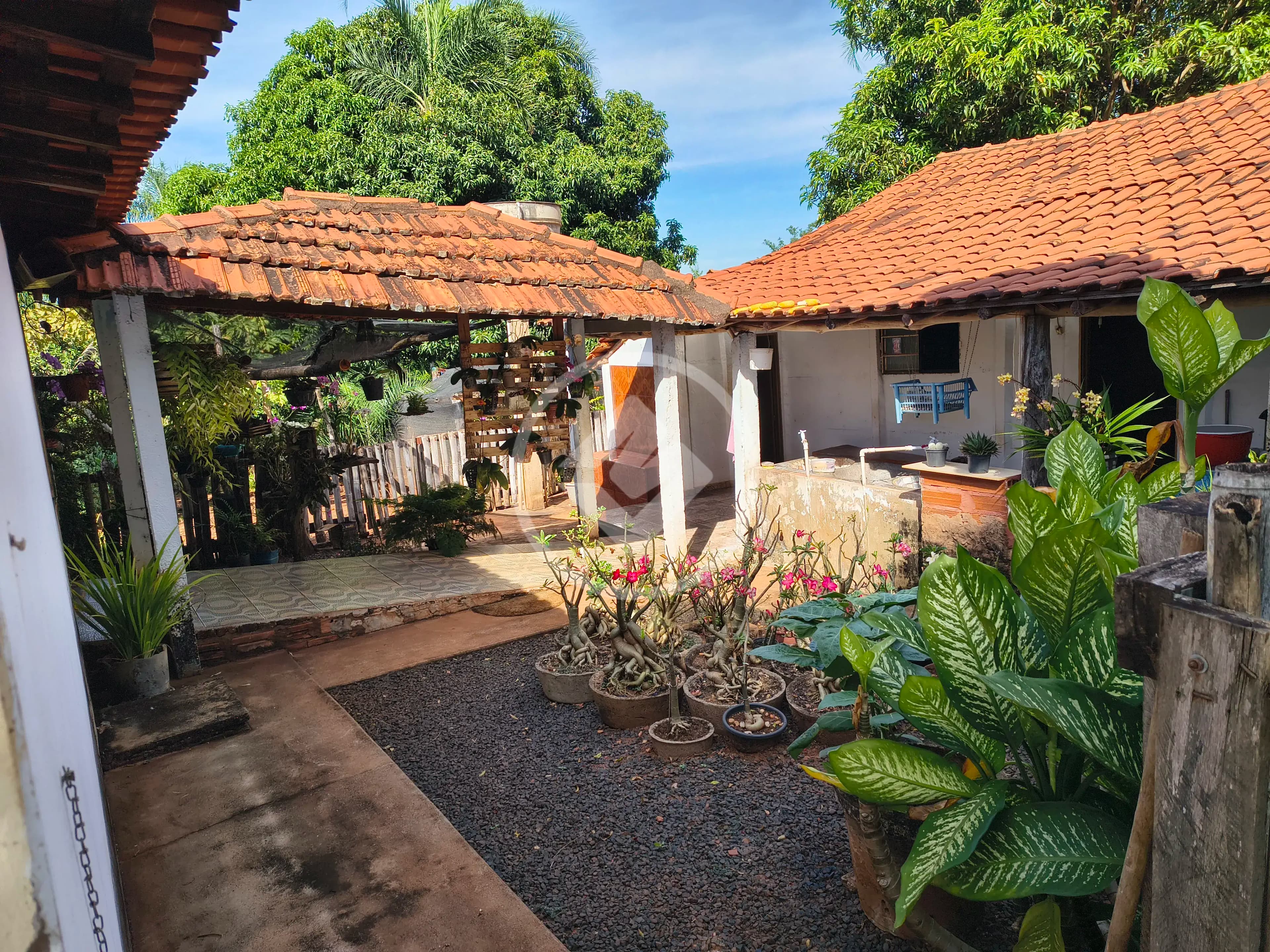 Fazenda ., Rio Verde - GO — foto 1
