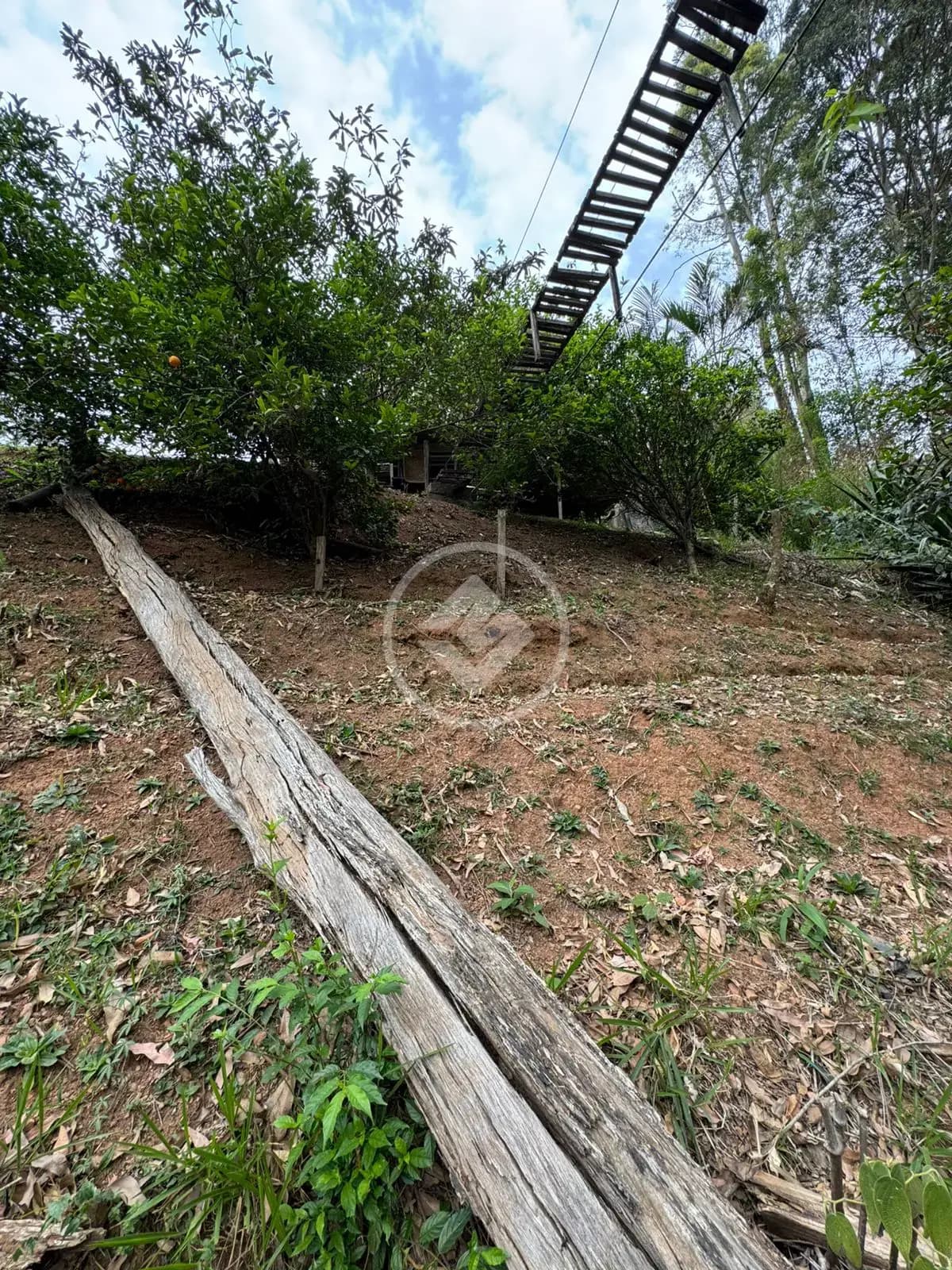 Terreno Condomínio Alphaville, Barueri - SP — foto 2