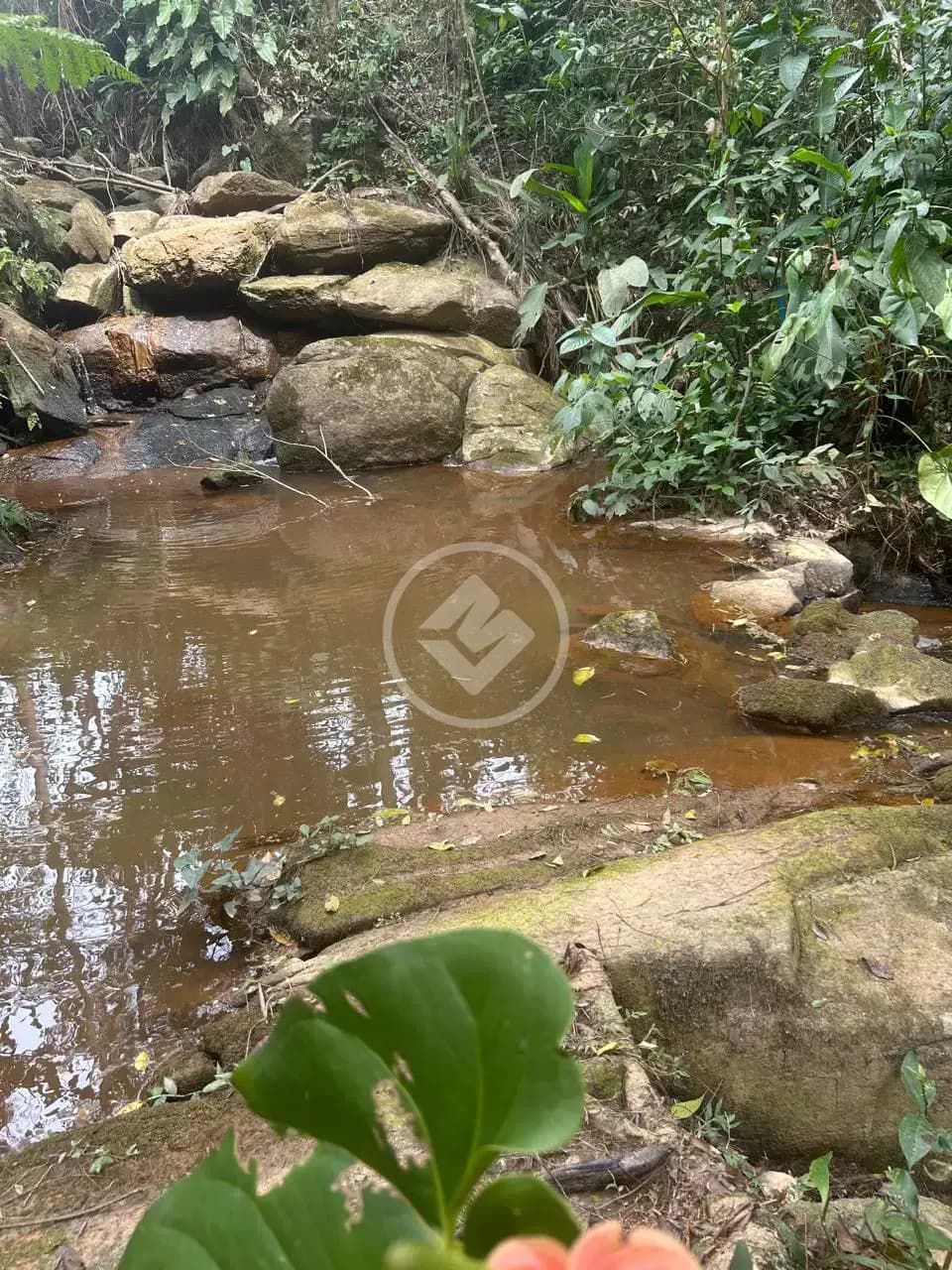 Sítio Bairro Jardim Nossa Senhora das Graças, Cotia - SP — foto 2