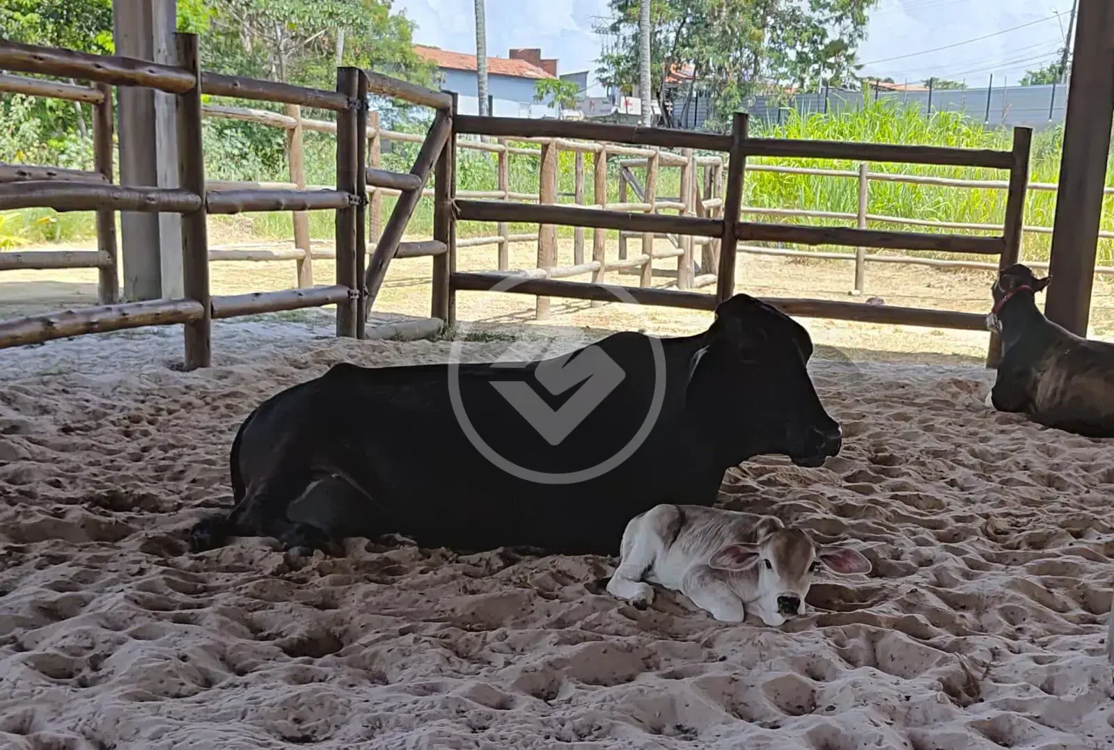 Terreno Condomínio no Praia do Forte, Mata de São João — foto 4 de 6