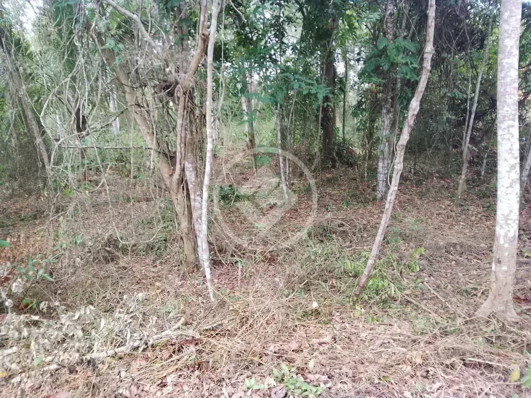 Terreno Condomínio no Centro, Simões Filho — foto 3 de 6