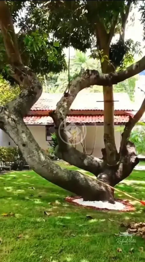 Casa Condomínio 3 quartos no Centro, Camaçari — foto 6 de 6