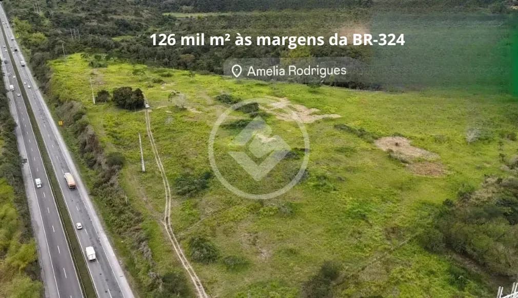 Fazenda Centro, Amélia Rodrigues - BA — foto 1