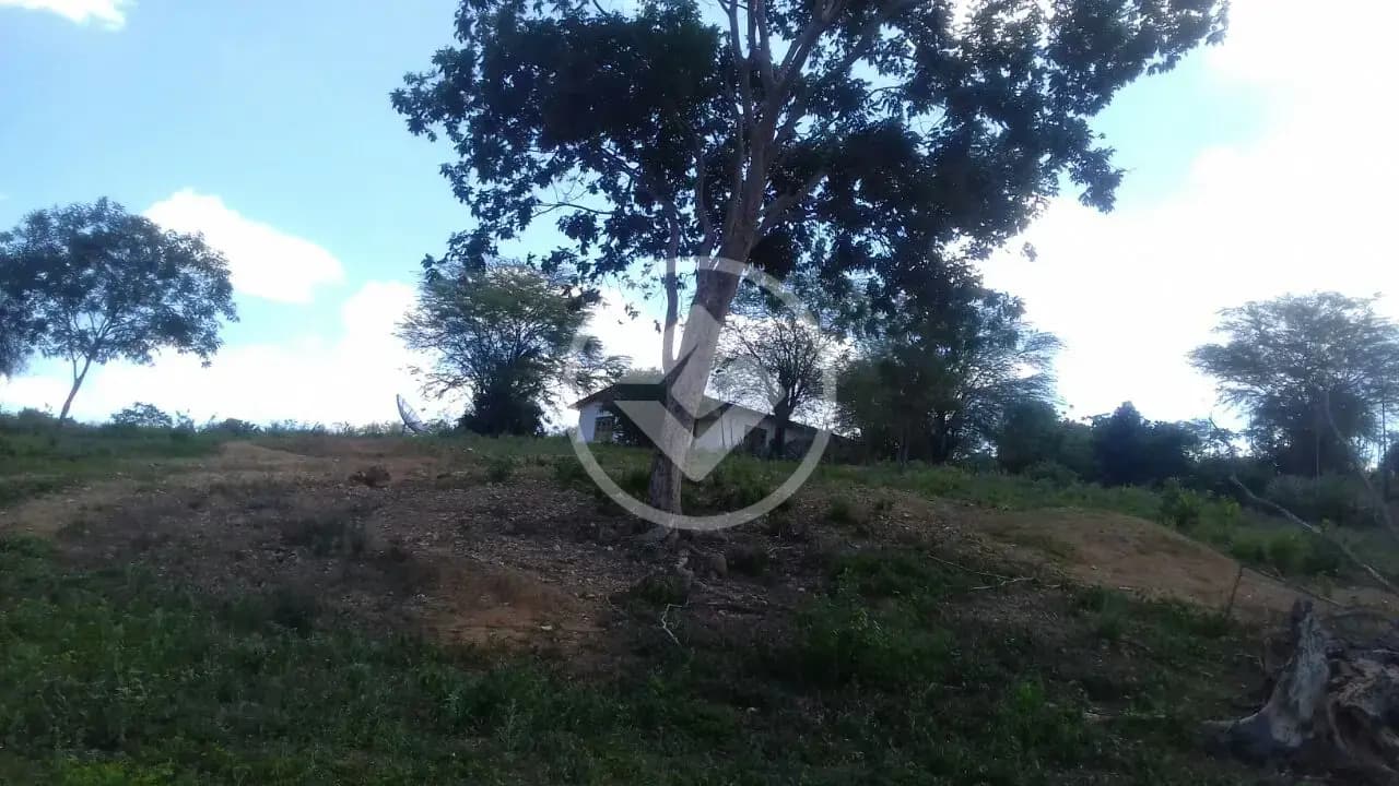 Fazenda Centro, Iramaia - BA — foto 2