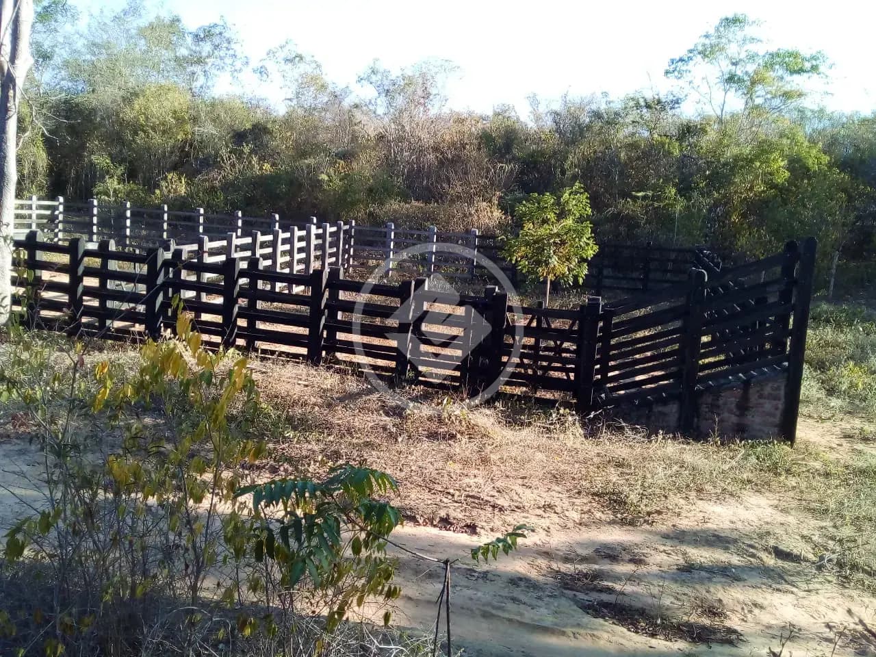 Fazenda Centro, Iramaia - BA — foto 1