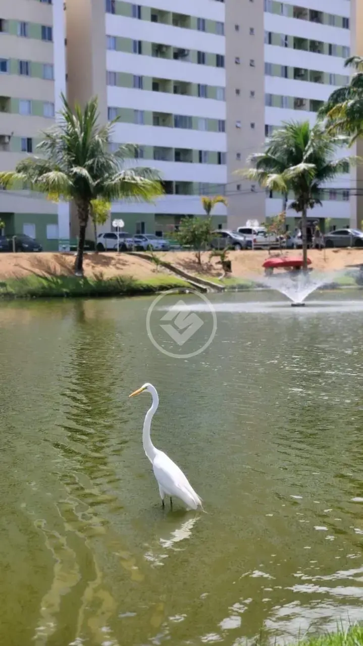Apartamento Centro, Lauro de Freitas - BA — foto 2