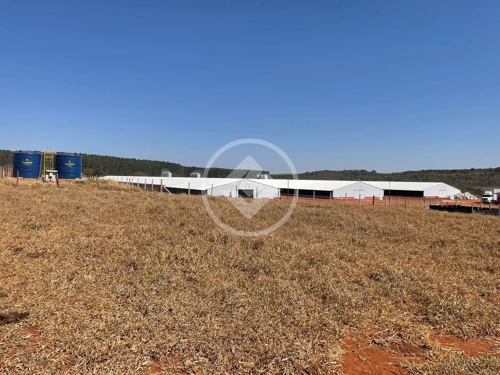 Fazenda no Área Rural de Uberlândia, Uberlândia — foto 6 de 6