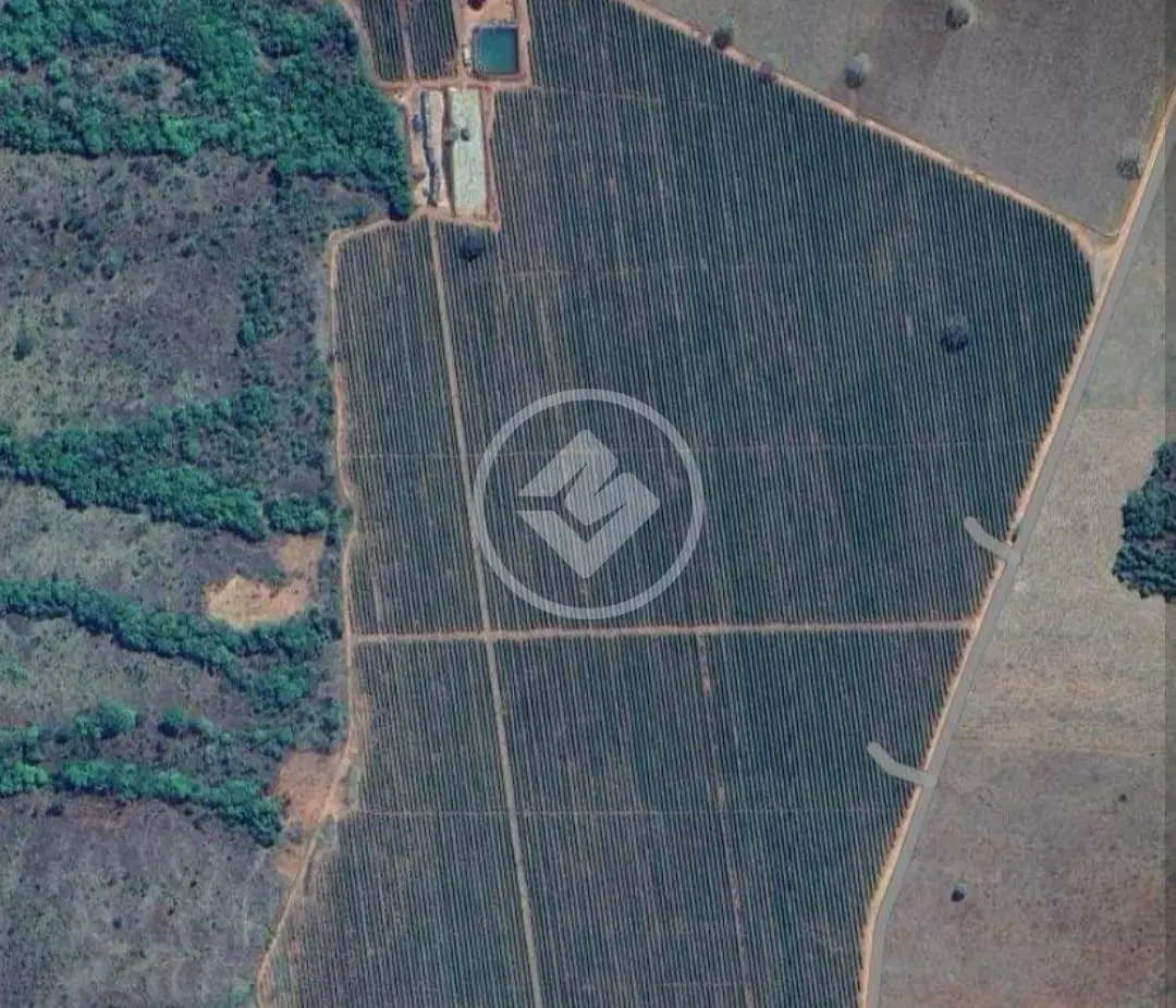 Fazenda no Área Rural de Uberlândia, Uberlândia — foto 2 de 3