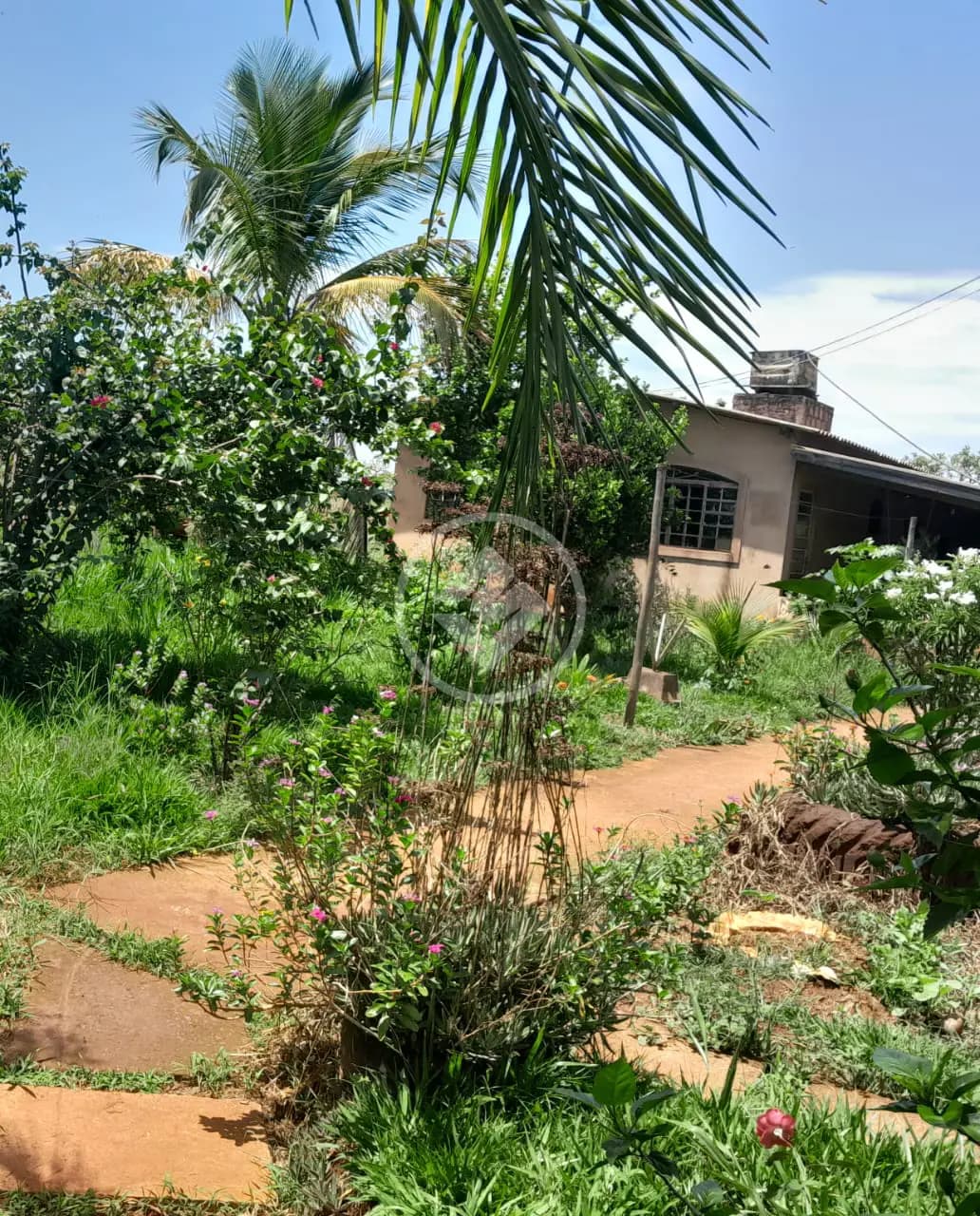 Sítio Área Rural de Uberlândia, Uberlândia - MG — foto 1