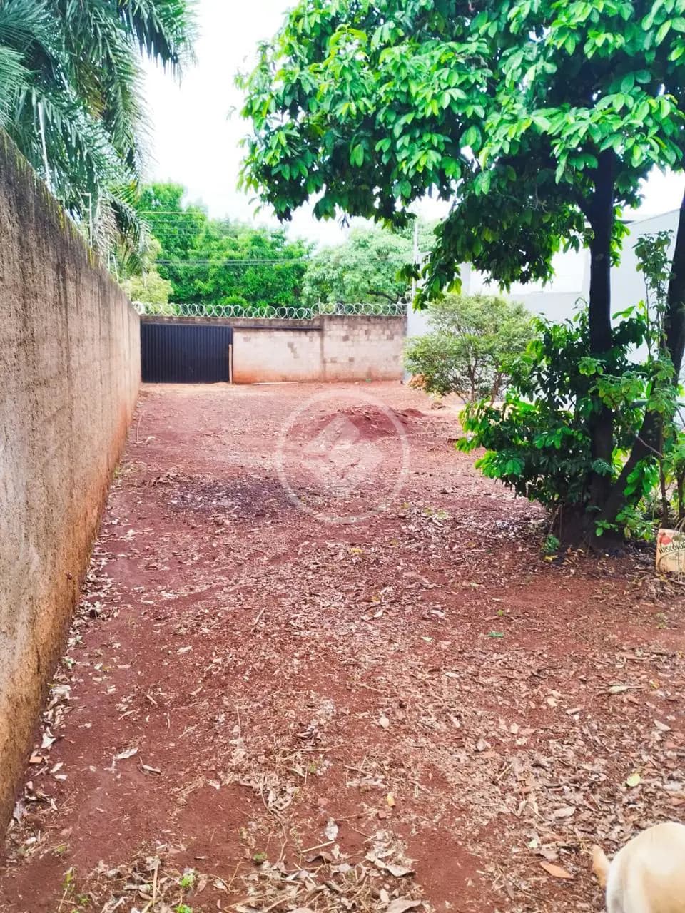 Terreno Daniel Fonseca, Uberlândia - MG — foto 2