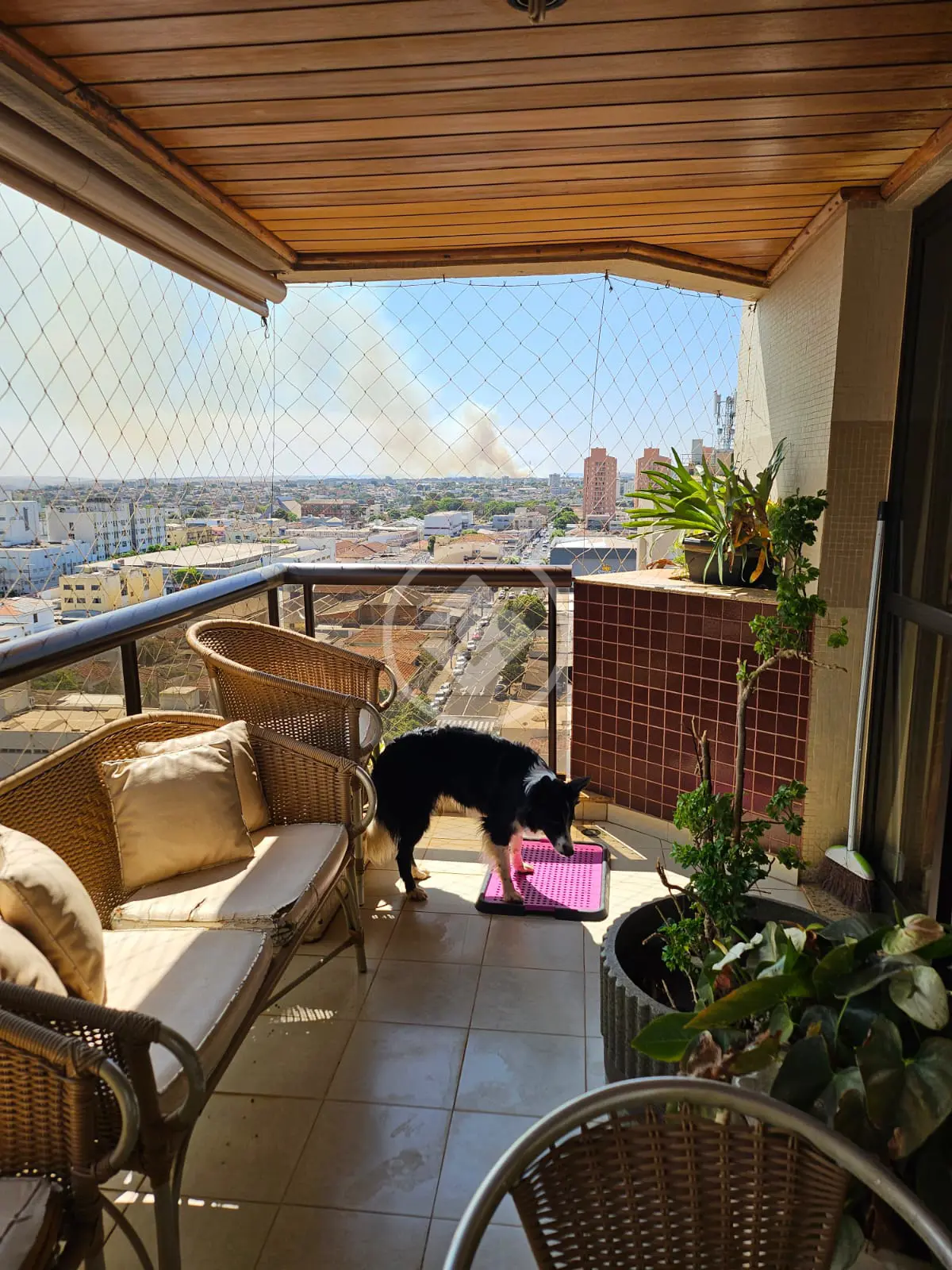 Apartamento 4 quartos no Martins, Uberlândia — foto 5 de 5
