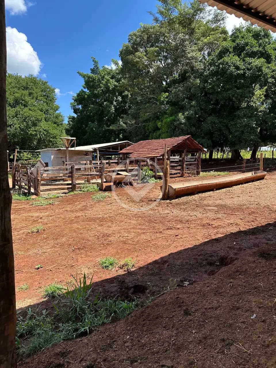 Sítio Área Rural de Uberlândia, Uberlândia - MG — foto 2