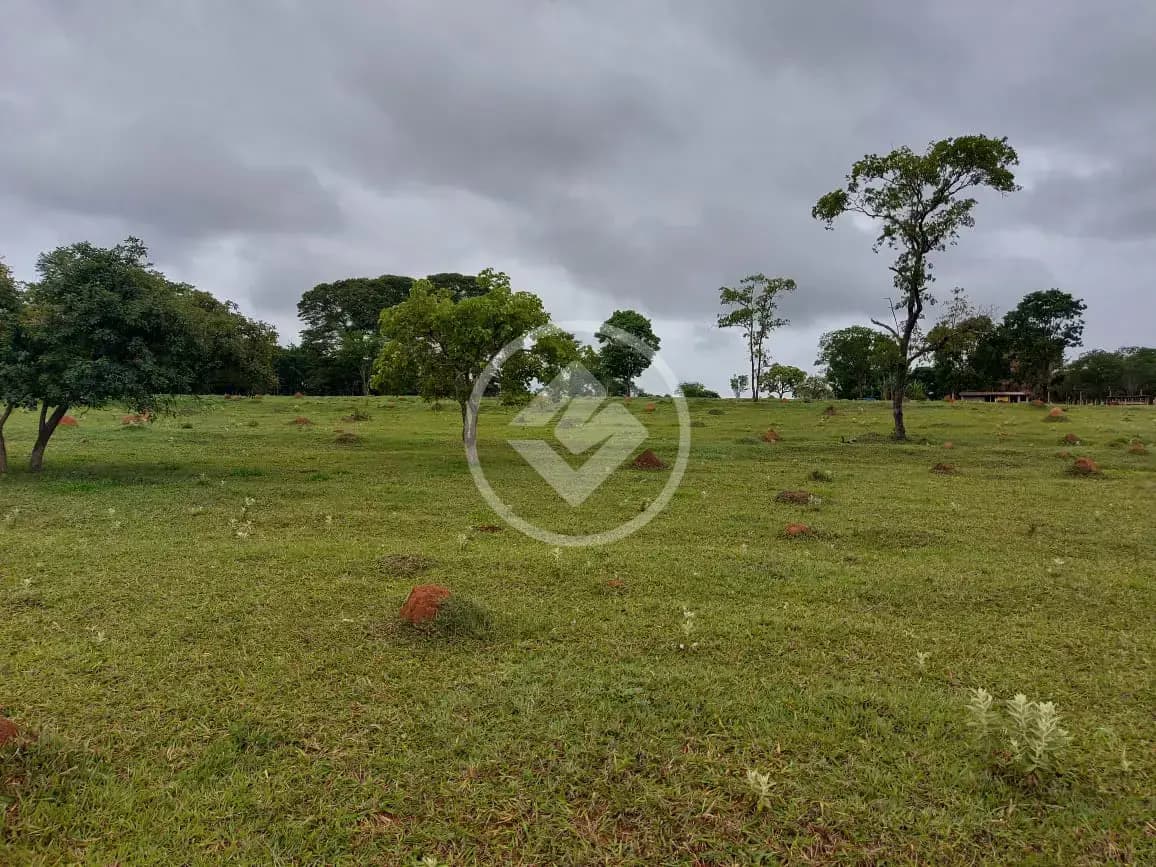 Sítio Área Rural de Uberlândia, Uberlândia - MG — foto 1
