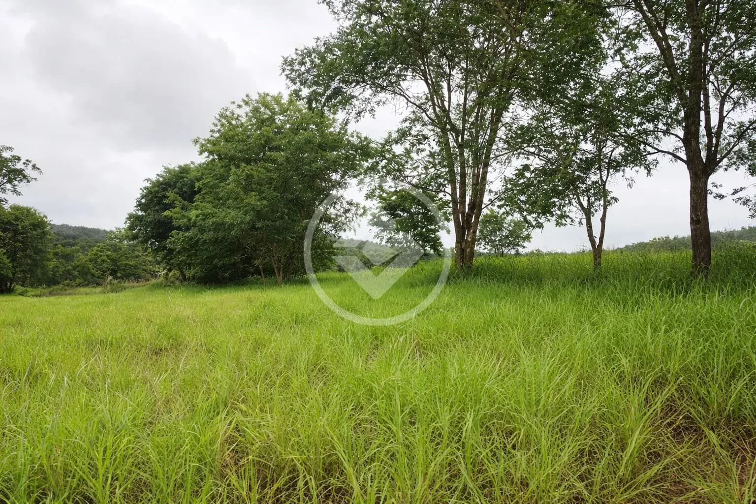 Sítio Área Rural de Uberlândia, Uberlândia - MG — foto 2