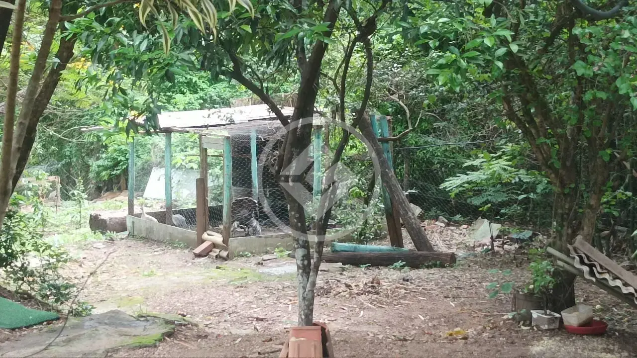 Chácara Zona Rural, Araguari - MG — foto 2