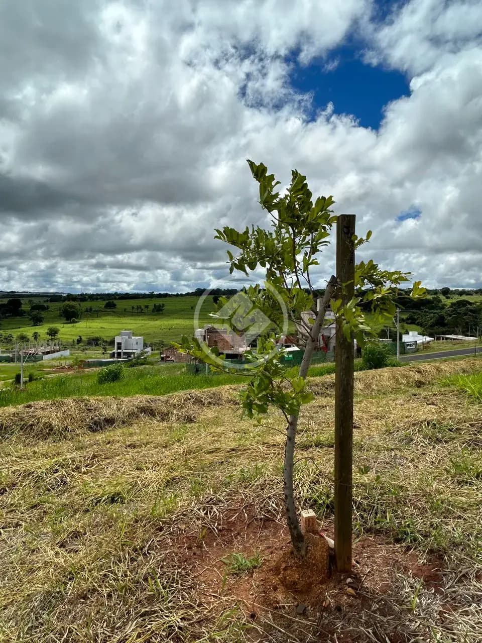 Terreno Condomínio GRANJA MARILEUSA, Uberlândia - MG — foto 2