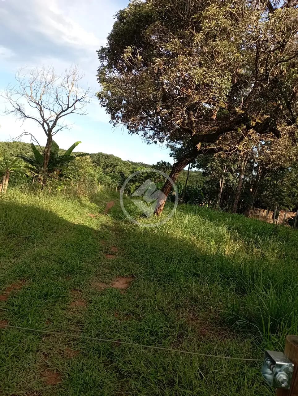 Chácara no Zona Rural, Cascalho Rico — foto 3 de 6