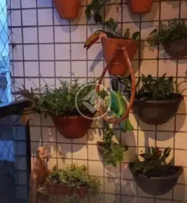 Apartamento 2 quartos no Aparecida, Santos — foto 5 de 6
