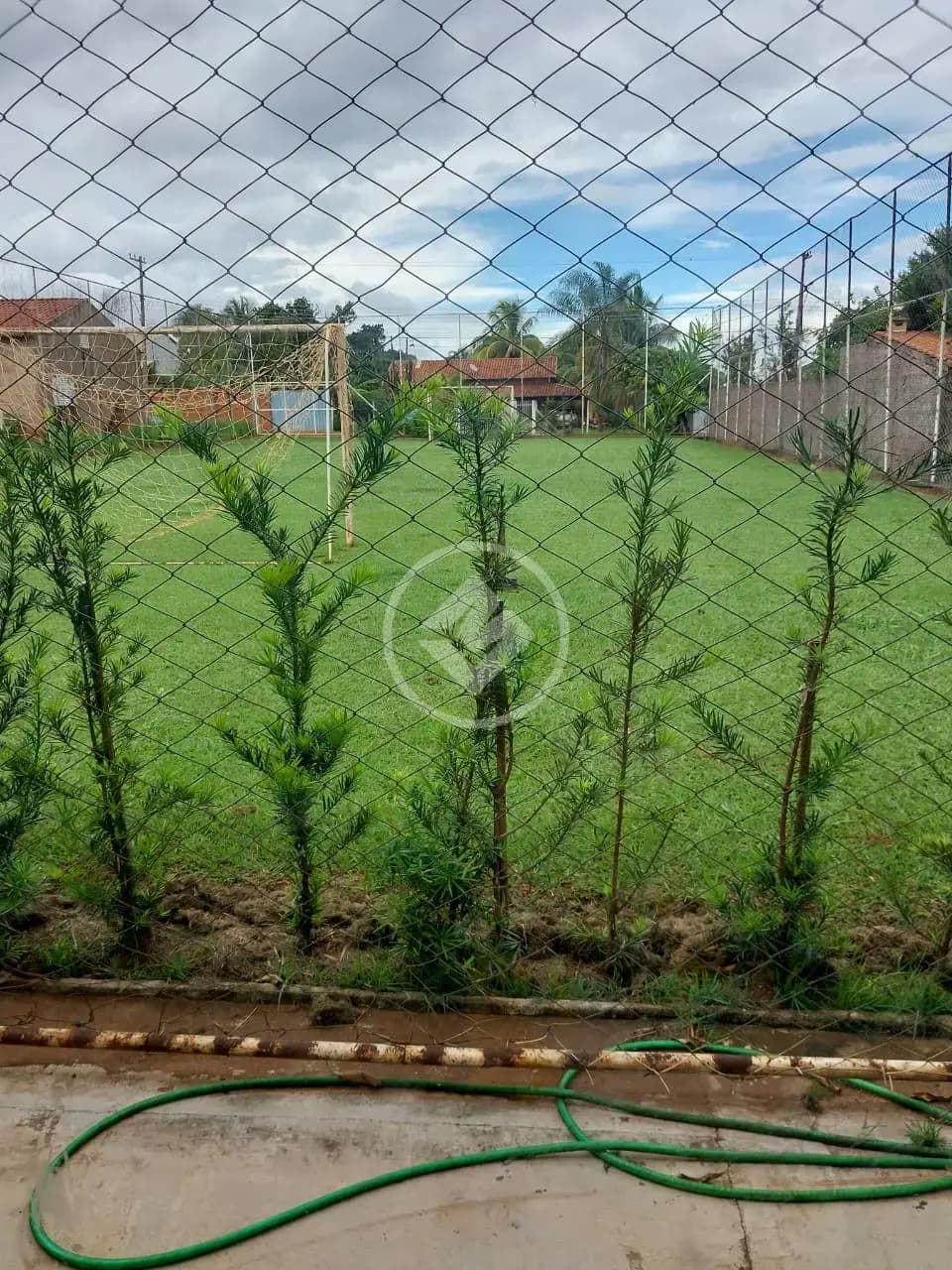 Chácara Estância São Carlos (Zona Rural), São José do Rio Preto - SP — foto 2