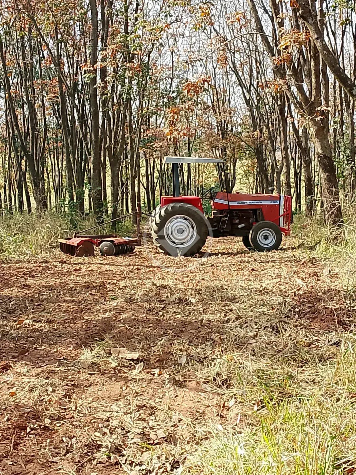 Sítio fazenda santa bárbara, Poloni - SP — foto 2